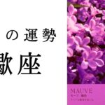 蠍座・2025年7月――心の痛みをたくさん感じてきたあなたへ。やっとやっと辿り着ける大きな愛✨✳︎タロット占い