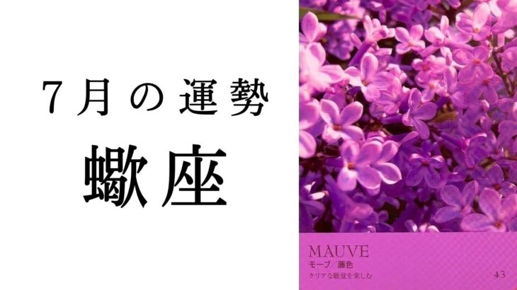 蠍座・2025年7月――心の痛みをたくさん感じてきたあなたへ。やっとやっと辿り着ける大きな愛✨✳︎タロット占い
