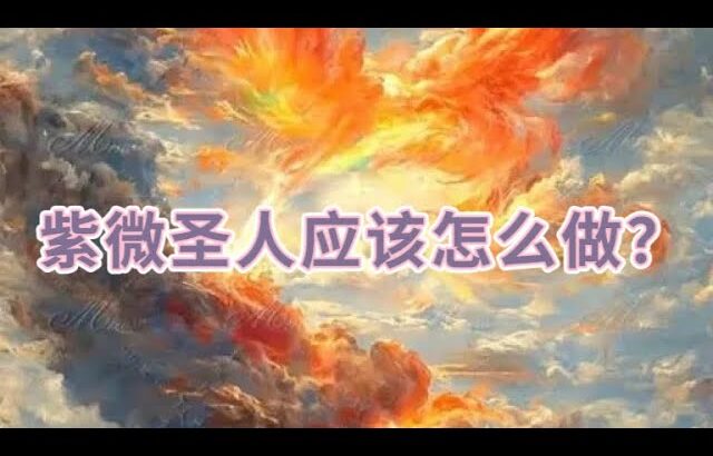 紫微圣人现在应该做的