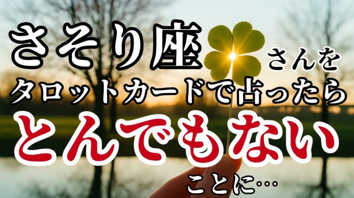 さそり座♏2025年7月以降✨️タロットが語った！守護霊に守られているとされる強運のカード！※8秒以内に再生しないと幸福がすり抜けます【2025年運勢】 #蠍座 #金運 #占星術