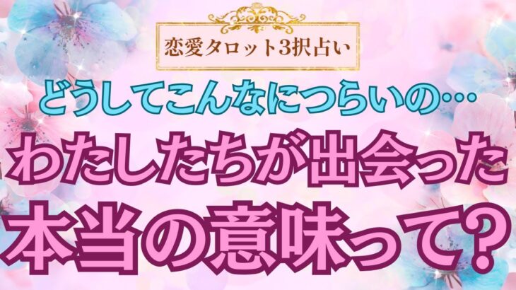 【恋愛タロット3択占い】お相手さまのこと諦める前に観てください_わたしたちが出会った本当の意味って？_バランガン_いち木しま馬
