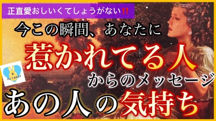 最新のあの人の気持ち❤️‍🔥あなたに惹かれてる人からメッセージ💌
