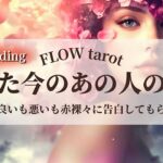 【恋愛占い/忖度なし】良いも悪いも赤裸々に告白してもらいましょう！（辛口あり🌶️）たった今のあの人の本音🔮【タロット占い・オラクルカード・カードリーディング】