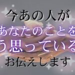 今あの人はあなたをどう思ってる？あの人の気持ち、伝えたい想い🤍【 恋愛 タロット オラクル カード 占い 】