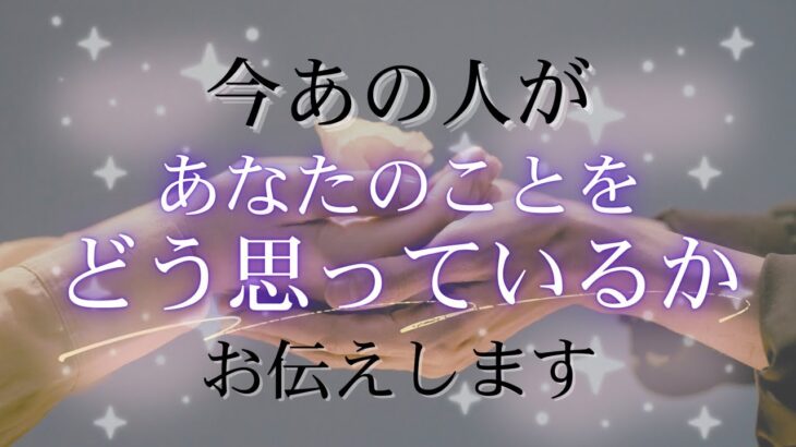 今あの人はあなたをどう思ってる？あの人の気持ち、伝えたい想い🤍【 恋愛 タロット オラクル カード 占い 】