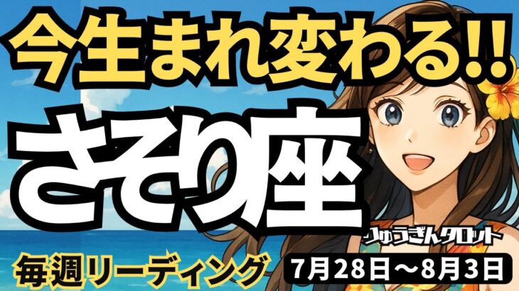 【蠍座】♏️2025年7月28日の週♏️いま、生まれ変わる。しっかりご自身を見つめ、大復活する時。さそり座。タロットリーディング