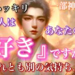 【🦋一部神回頻発💞】白黒ハッキリさせます🤍🖤今、あの人はぶっちゃけあなたのこと『好き』ですか？それとも別の気持ち…？🦋