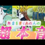 【深すぎ】驚きの切ない真実🥹あの人の本当の気持ち💗無言を貫くあの人の超本音💌復縁　連絡待ち　個人鑑定級　タロット