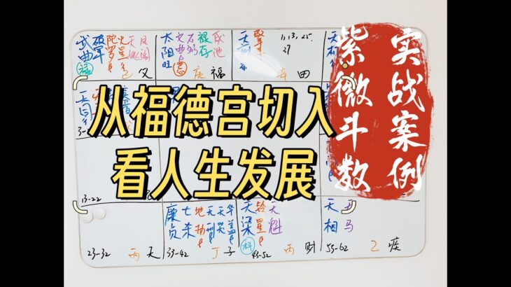 紫微斗数｜斗数人生｜实战案例｜从福德宫切入看人生发展