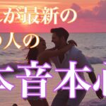 これが最新のあの人の本音本心です💕ある選択肢は超激辛🌶️🌶️🌶️覚悟のある方のみご視聴下さい🙇‍♀️