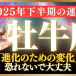 【牡牛座2025年下半期の運勢】変化が幸運を連れてくる半年に！牡牛座の恋愛運・金運・仕事運・幸運期ガイド