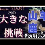 幸せをじんわり実感しよう💖山羊座♑️さん【山羊座満月🌕〜あなたの次に来る大きな挑戦って何⁉️】#2025 #タロット占い #星座別