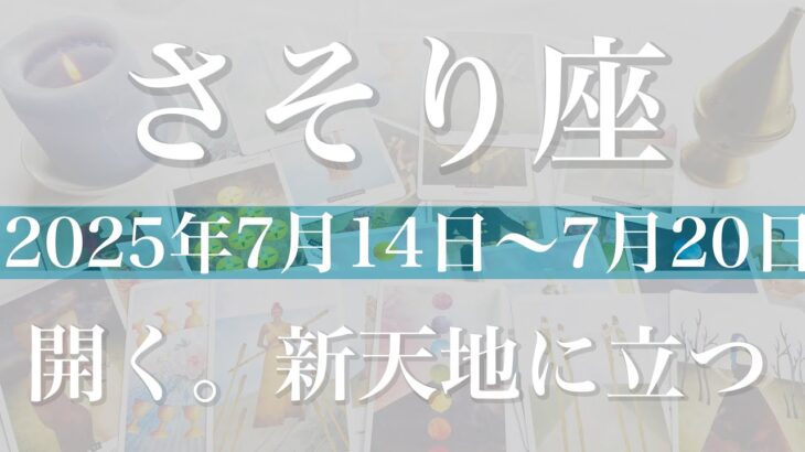 【さそり座】1週間の運勢（2025年7月14日〜7月20日）♏️ ここがスタート地点！新しい冒険の広がり、暖かさに迎え入れられる、大きな愛に包まれる