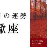 【蠍座🌷8月の運勢】※大事な移行期間✨これから新たな世界が広がろうとしています！！2025年タロット占い