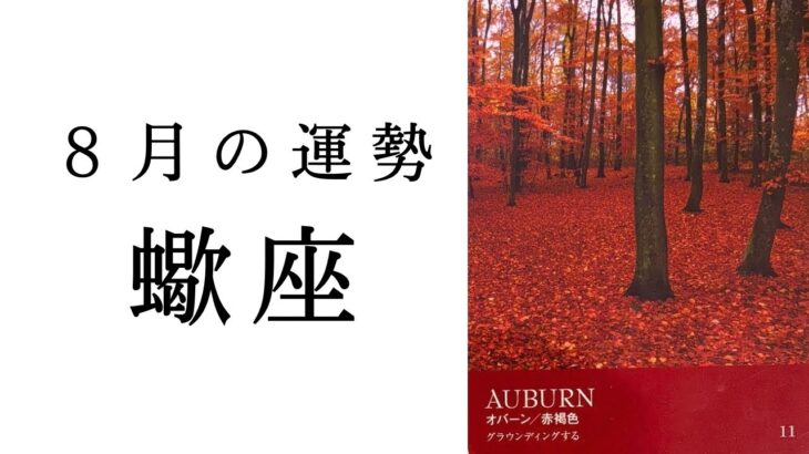 【蠍座🌷8月の運勢】※大事な移行期間✨これから新たな世界が広がろうとしています！！2025年タロット占い