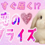 もうすぐ届く⁉️恋のサプライズ便📮✨ハピラブタロットとハピラブオラクルで占った🫶