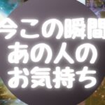 🌈今この瞬間あの人のお気持ち🌈【🔮ルノルマン＆タロット＆オラクルカードリーディング🔮】（忖度なし）