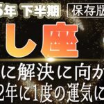 【2025 しし座】2025年下半期獅子座の運勢　一気に解決に向かう！来年12年に一度の運気に備えて
