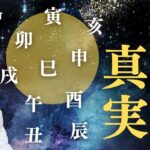 【地支の意味】が分かると四柱推命が楽しくなる！初心者🔰〜今イチ理解できない方必見