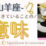 山羊座2025年8月前半🌻　【今、起きていることの意味】　西洋占星術×カードリーデーィング