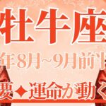 【おうし座】8月全体～9月前半まで運勢　今回超重要です⚡ドンッと運命が動く瞬間💎✨”その時”はもうすぐやってきます🥰そのまま続けて、希望の未来へ🌈【牡牛座 ８月】【牡牛座 ９月】タロットリーディング