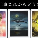 激熱❤️‍🔥❤️‍🔥❤️‍🔥あなたの仕事がこれからどうなるのか全力で占います【タロット占い】仕事の流れからあなたの強み資質など盛り沢山リーディング🧅🪺【ルノルマン・オラクル・カード占い】