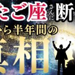 【2025年下半期ふたご座の運勢】過去2年の涙を力に変え、才能が本物の豊かさになる大収穫期へ