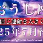 おうし座♉︎2025年7月後半　流れ出す💫直感を信じれば運命が動く🧚Taurus tarot reading