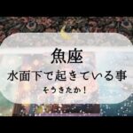 【魚座】【準備完了】水面下ではすごいことになってます😮
