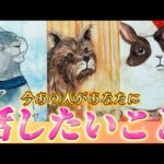 【ガチ透視】驚きの本音🫢で語るあなたへの💌超正直すぎるあの人の気持ち💗リアルな本音を深掘り！個人鑑定級✨タロット占い