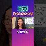 右弼は新しく生まれ変わる身体を探す魂#紫微斗数 #欽天紫微斗数