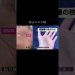 頭脳線の枝分かれはすごい才能がある #占い #手相 #手相鑑定 #手相占い