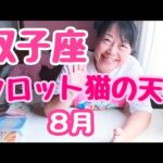 2025/8 双子座　もう言うことなーっし❗❤の夏🌴#双子座　#8月　#7月　#タロット　#猫