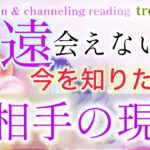 〈恋愛〉疎遠〜会えない人🩵今を知りたい。お相手の現状