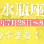 【みずがめ座】1週間の運勢（2025年7月28日〜8月3日）♒️ 抜ける！絶妙なタイミング、ここが最適のバランス