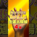 【金運上昇】ガッツリ稼ぐ人の太陽線4 選 #手相  #手相占い  #占い  #スピリチュアル  #金運