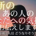 最新のあの人のあなたへの気持ち 【 恋愛・タロット・オラクル・占い 】