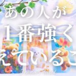 めちゃくちゃ照れました🫣💕【恋愛❤️】あの人があなたとの事で今1番強く考えている事【タロット🔮オラクルカード】片思い・復縁・複雑恋愛・曖昧な関係・疎遠・音信不通・冷却期間・あの人の気持ち・本音・占い