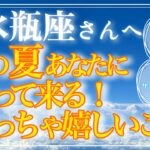 【みずがめ座さん🌞】この夏あなたにやって来るめっちゃ嬉しいこと❗️ズバッとお伝えします🔮【ルノプチ🌈タロット・ルノルマンリーディング】