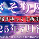 さそり座♏︎2025年7月後半タロットリーディング🌟想いは届きゆっくりと芽生える🧚‍♂️Scorpio tarot reading
