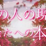 【恋愛】（予祝🎊あり。）あの人の､現状・本心👀🩷🗝️タロットリーディング