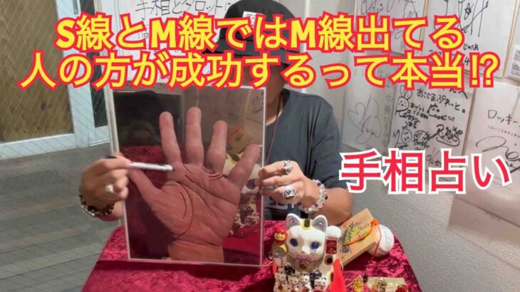 Mっ気強い手相の人の方が成功するの⁉️