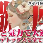 【さそり座8月前半】知恵と気力で大逆転！ 人生のデトックスで、全てが好転【癒しの眠れる占い】