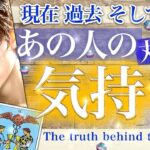 【辛口あり】むき出し！お相手の気持ち✨結果と本音✨本当はこう思ってる✨今までとこれからふたりはどうなる？【タロット 恋愛】No.590
