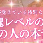 💫【恋愛】【魂が覚えている特別な人】隠しきれない魂レベルの本音をすべて暴きます【当たるタロット占い】