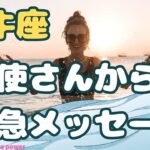 【牡牛座】このチャンスを掴んでください❣️❗️＃タロット、＃オラクルカード、＃占い、＃当たる