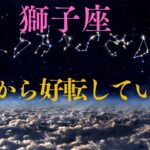 【獅子座♌️】これから好転していく事💫🙌星座占いにはおみくじはありませんのでご了承下さい🙇‍♀️