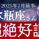 【 水瓶座】2025年7月前半、みずがめ座は超絶好調?!