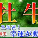 牡牛座 【 おうし座 ♉ 】( 2025年 7月 後半) 奇跡の大転機！運命動き出し豊かさ急上昇✨🔑 牡牛座 2025 タロット占い