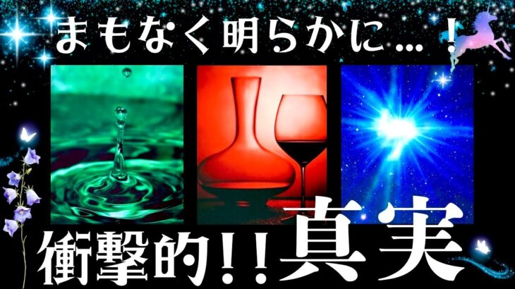 【衝撃💥】驚きの真実が明らかになります…！！